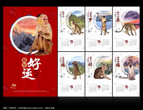 2016年猴年猴子照片挂历设计图片下载_红动中国