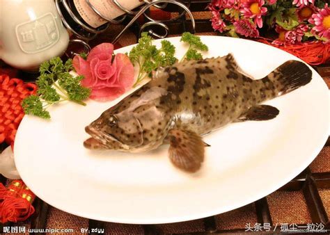 黑石斑鱼怎么做好吃（石斑鱼的8大美味做法推荐）-秒懂财税