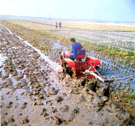 健康快速发展中的中国农业机械化（张胜茂）