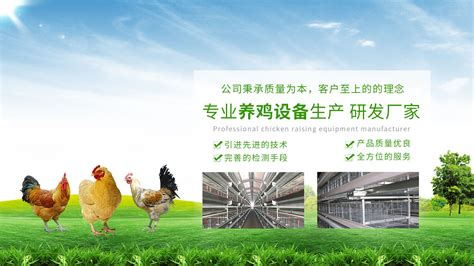 畜牧机械_蛋鸡笼生产厂家-山东惠民禽乐畜牧机械有限公司