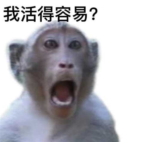 猴子敬礼的样子好可爱_腾讯视频