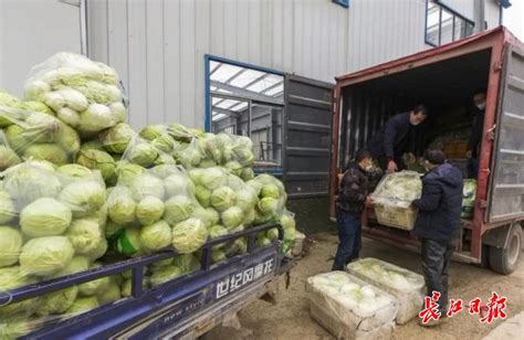 河南三门峡西原店蔬菜批发市场在哪里_怎么走-公交线路-淘金地农业网