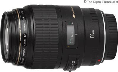 Canon EF 100mm f/2.8 Macro USM Review