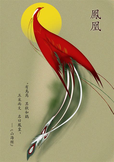 凰文图片