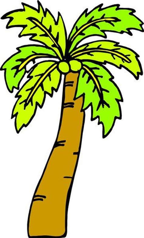 【椰子树简笔画】椰树简笔画图片_太平洋亲子网