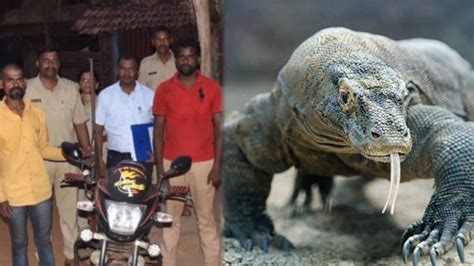 印度男子多次性侵鳄鱼被捕，这离谱程度等同于蜥蜴了……|鳄鱼|蜥蜴_新浪新闻
