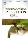 【IELTS寫作範例】- 污染(Pollution) - 加拿大國際學生雜誌
