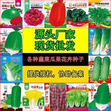 【景趣园艺】四季蔬菜种子大全 - 惠券直播 - 一起惠返利网_178hui.com