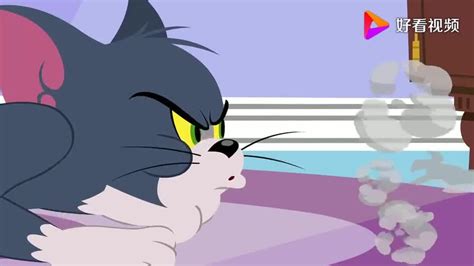《新猫和老鼠第三季》全集-动漫-免费在线观看