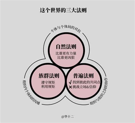 白杨SEO：再聊聊做流量的底层逻辑，具体怎么做？【直播复盘】