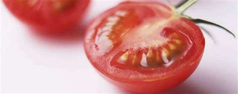 我吃西红柿图册_360百科