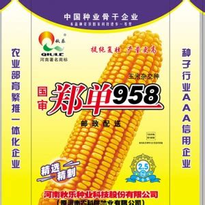 郑单958玉米种简介，适合哪里种植，产量如何 - 农村网