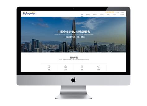 深圳有那些专业的网站建设公司|尼高网站建设【尼高网站建设】