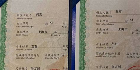全家名字都很牛，上海一对双胞胎取名谐音上下左右(含视频)_手机新浪网