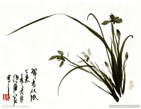 赞兰花的诗佳句,像兰花一样做人的句子,形容兰花气质清雅诗句_大山谷图库