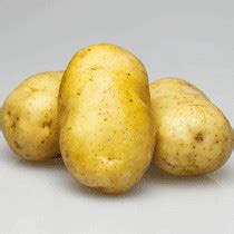 土豆的做法_土豆怎么做好吃_土豆的家常做法大全【美食杰】