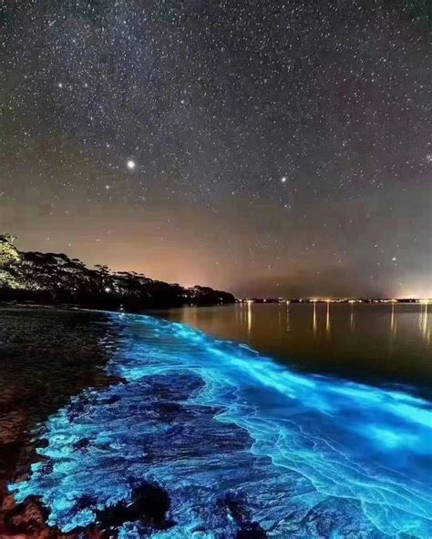 福州这片蓝色荧光海 美得让全国都震惊了…