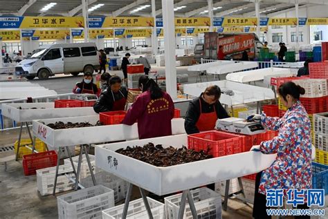 2023小龙虾产业大会暨第二届江西永修龙虾节将于6月3日举行-新华网