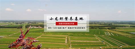 2021年中国小龙虾产业行情分析_中国水产流通与加工协会