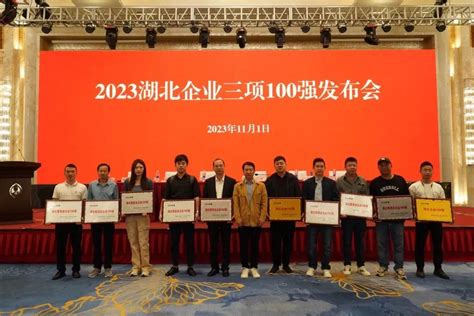 湖北三项100强榜单出炉！荆州16家企业上榜 - 荆州市发展和改革委员会