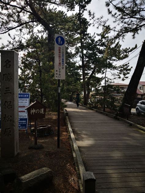2024三保之松原游玩攻略,静冈最为有名的景点，与富士...【去哪儿攻略】