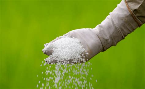 详解氮-磷-钾肥的作用和使用，农业生产必备！