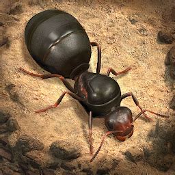 地下蚁国游戏高清截图一览_地下蚁国游戏高清截图下载_3DM单机