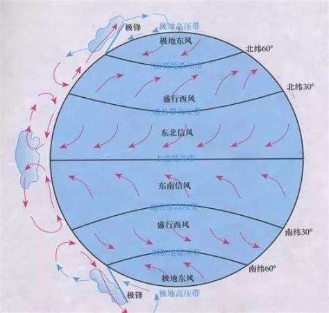 劳雷尔·康兰 的图像结果
