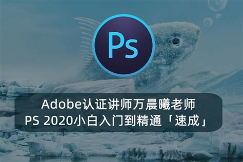 Adobe认证讲师万晨曦老师PS2020小白入门到精通「速成」 – 绘画设计圈