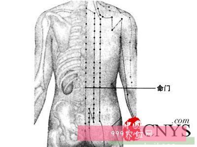 腰痛点穴的准确位置图与作用-定位与取法-刺灸法_人体穴位图-方剂汇