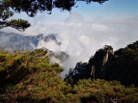 即日起，安徽居民免费活动游览黄山风景区需实名预约 - 西部网（陕西新闻网）