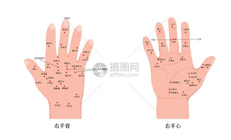 手掌经络图解大全图片 手掌经络图解大全图片