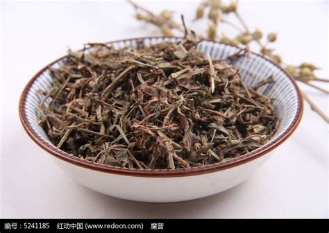 扁蓄图片