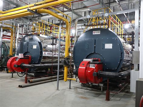 塞内加尔食用油厂4吨生物质蒸汽锅炉-河南远大锅炉有限公司