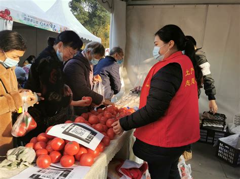 西红柿价格低至2毛，创历史新低！菜农不想亏钱，该如何自救？-长江蔬菜