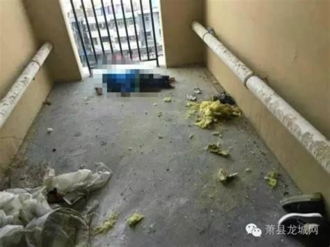 安徽一广场发生母子三人坠楼死亡事件 官方通报-新闻中心-南海网