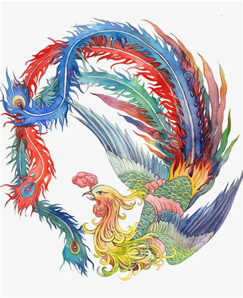 凤凰图片