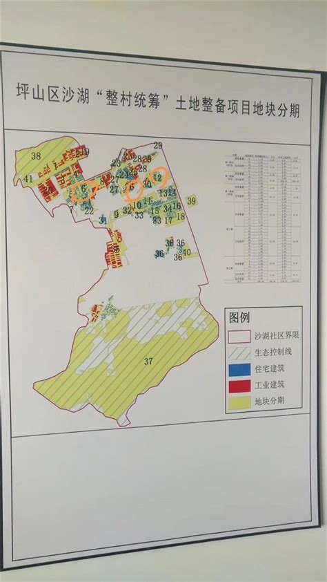 坪山碧岭街道汤坑片区城市更新单元_项目