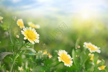 春暖花开图片素材-正版创意图片400114634-摄图网