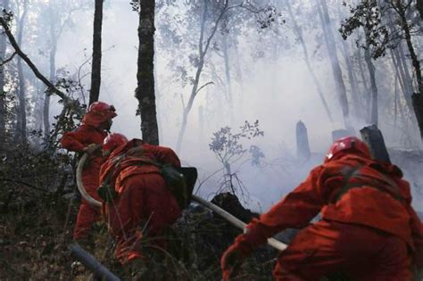 雅江森林火灾：调派直升机，地空协同全力扑救_四川在线