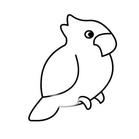 画鹦鹉幼儿简笔画_鹦鹉的简单画法 - 育才简笔画