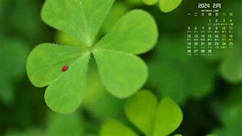 月历壁纸/2024年10月～12月部分cr.@verw图片