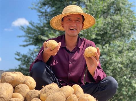 丰收季丨李聚东和他的3.0版马铃薯_定西市_土地_洋芋