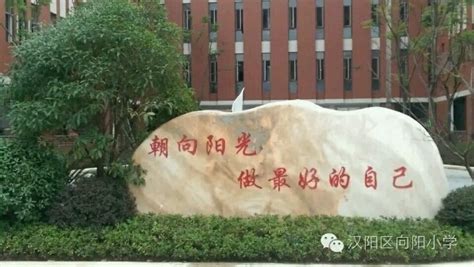 武汉十大私立小学排行榜-排行榜123网