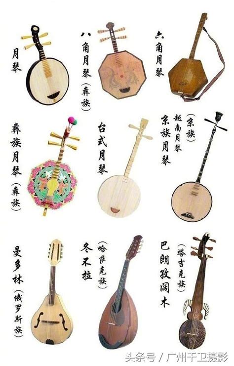 琴棋乐舞|中国乐器“八音”分类法☞陕西文化网-最具影响力的陕西文化推介平台