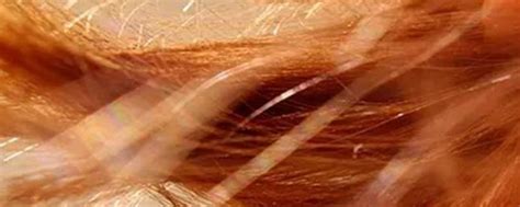 头发是什么物质组成的 - 业百科