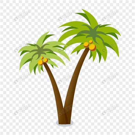 手绘热带植物椰子树元素素材下载-正版素材401221602-摄图网