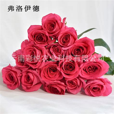 520新品9朵玫瑰秘境花园七夕情人节送女友闺蜜永生花弗洛伊德花盒-阿里巴巴