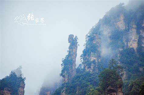 潇湘美景“八大碗”丨张家界：三千奇峰，雾霭飘渺 - 今日关注 - 湖南在线 - 华声在线