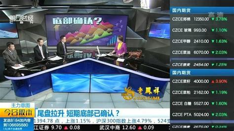 上海第一财经 节目主持人李婷 - 摄友摄色 - 华声论坛